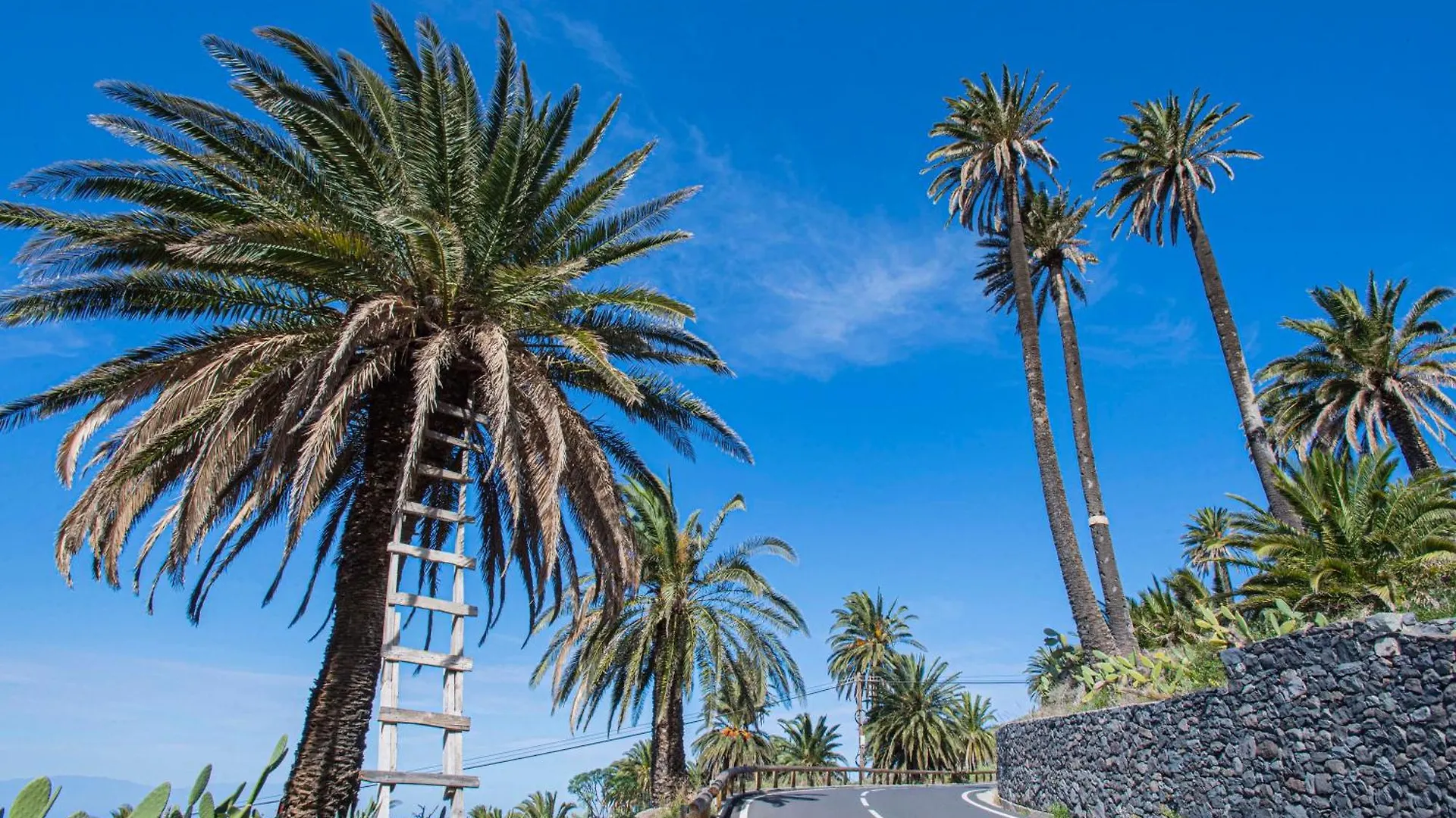 Casa Los Ramos Villa Alojera Holiday home